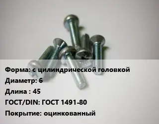 Винт с цилиндрической головкой 6х45 ГОСТ 1491-80 оцинкованный